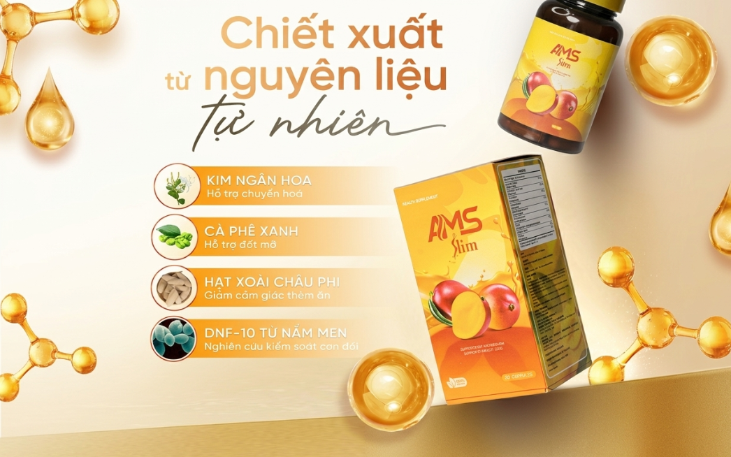 Hình 6: Thành phần của AMS SLIM