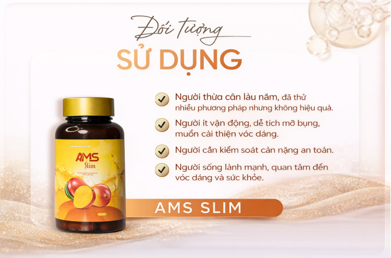 Hình 3: Đối tượng sử dụng của AMS SLIM